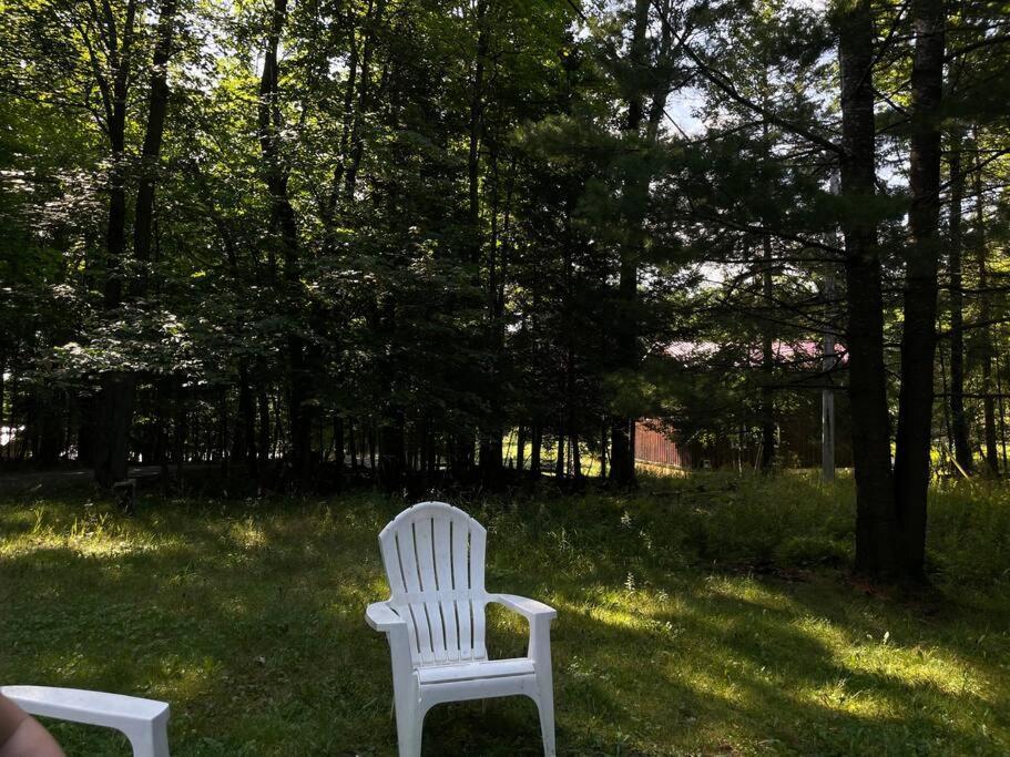 Вилла Muskoka Manor Dwight Экстерьер фото